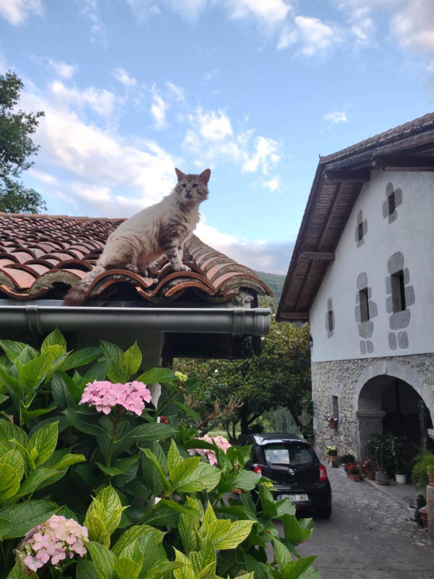 Hotel Rural Natxiondo เลเกย์ตีโอ ภายนอก รูปภาพ